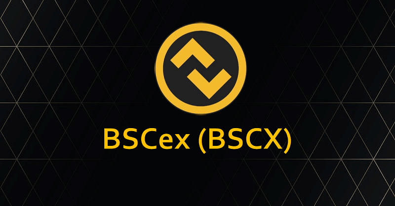 BSCX là token quản trị