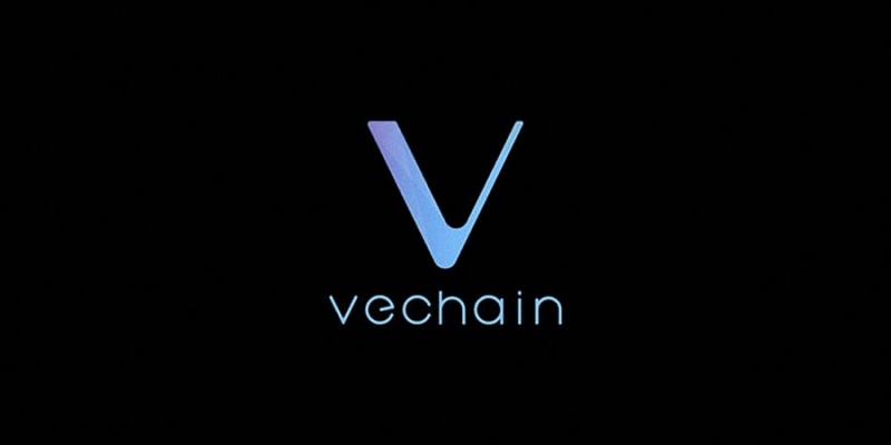 Vechain thor dùng để lưu trữ và giao dịch VET coin.