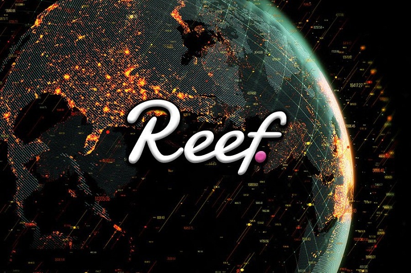 Reef coin là gì